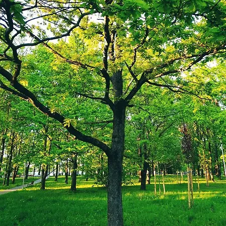 No.4 Link-to-happiness شقة *